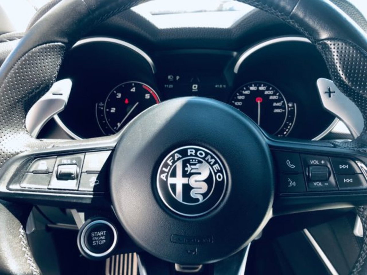Alfa Romeo Stelvio Stelvio 2.2 Turbodiesel 190 CV AT8 Q4 Super Business (9)
