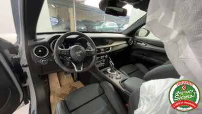 Alfa Romeo Stelvio Stelvio 2.2 Turbodiesel 210 CV AT8 Q4 Veloce (8)