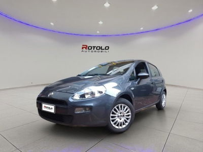Fiat Punto 1.3 MJT II 75 CV 5 porte Lounge usata