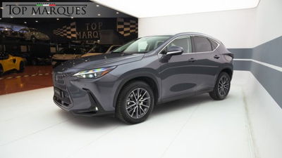 Lexus NX Hybrid 4WD Premium usata