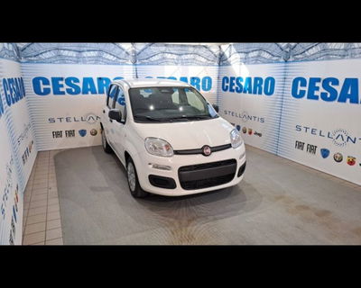 Fiat Panda 1.0 firefly hybrid Icon s&s 70cv 5p.ti nuova