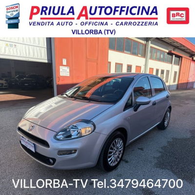 Fiat Punto 1.2 8V 5 porte Street usata