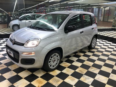 Fiat Panda 1.2 Easy usata