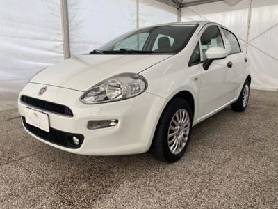 Fiat Punto 1.4 8V 5 porte Easypower Street usata
