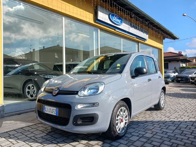 Fiat Panda 1.0 FireFly S&S Hybrid usata