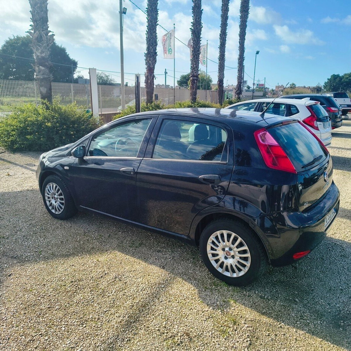 Fiat Punto 1.3 MJT II 75 CV 5 porte Street (2)