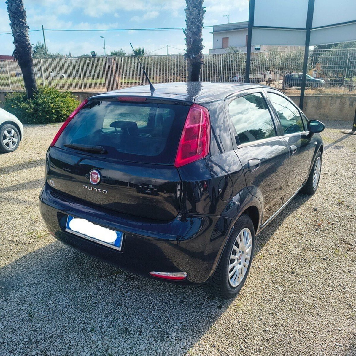 Fiat Punto 1.3 MJT II 75 CV 5 porte Street (3)