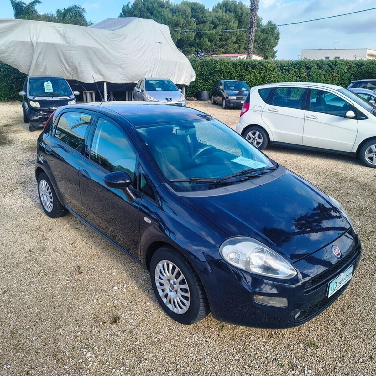 Fiat Punto 1.3 MJT II 75 CV 5 porte Street (4)