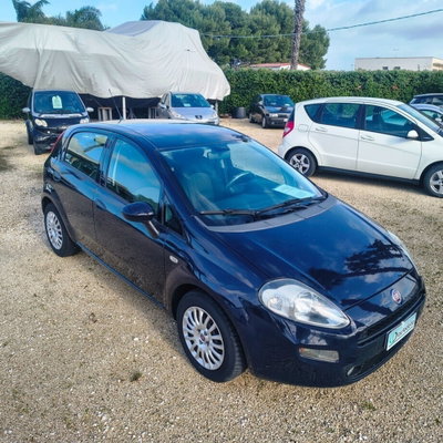 Fiat Punto 1.3 MJT II 75 CV 5 porte Street (4)