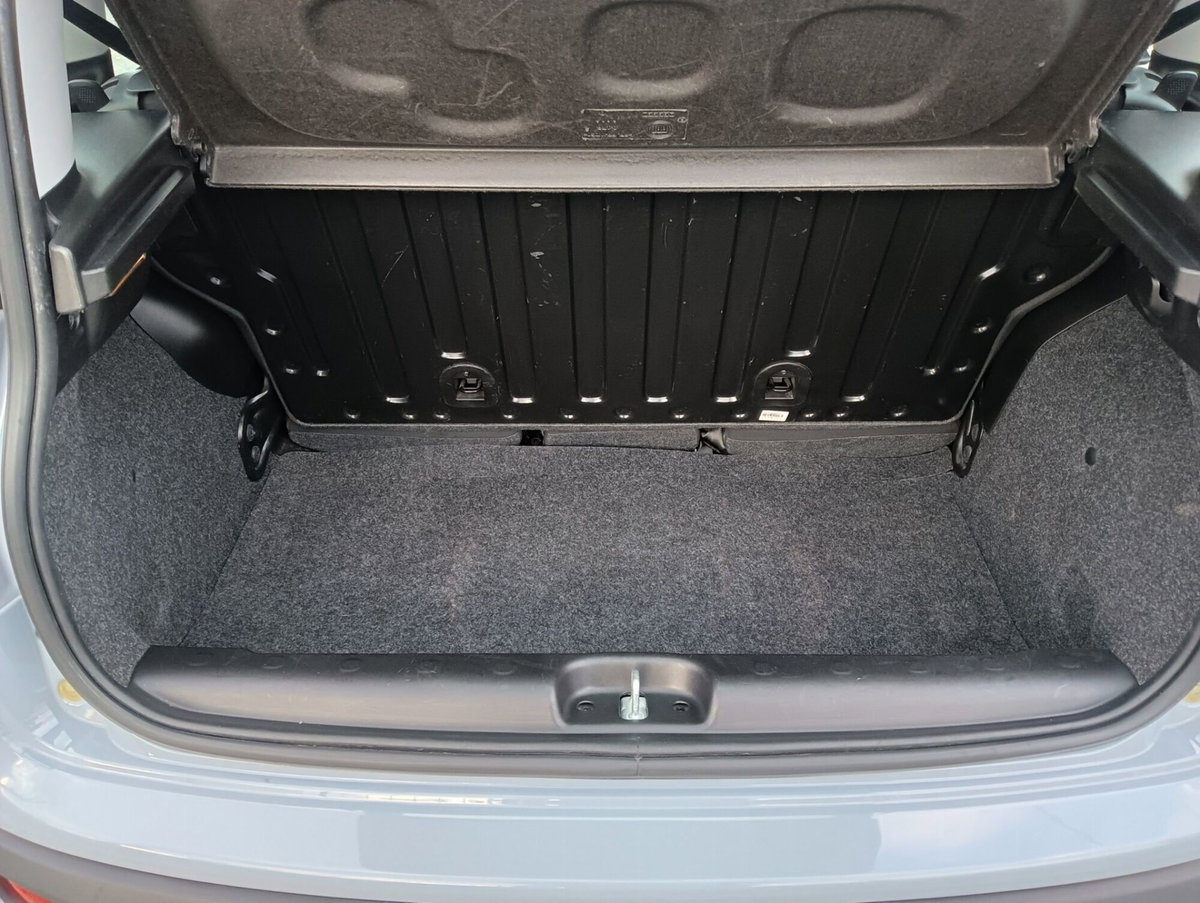 Fiat Panda Cross Cross 1.0 FireFly S&S Hybrid (14)