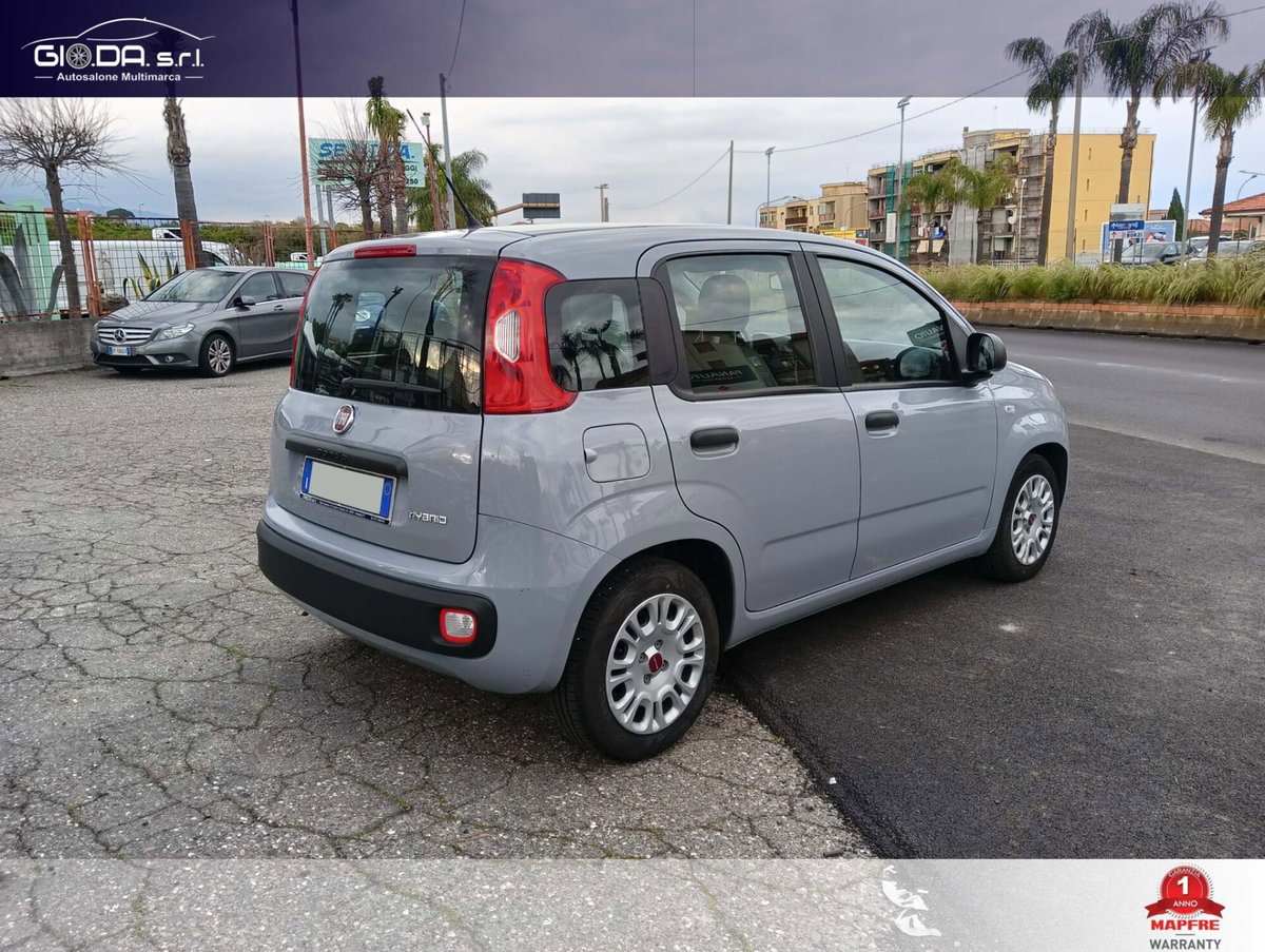 Fiat Panda Cross Cross 1.0 FireFly S&S Hybrid (4)