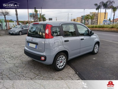 Fiat Panda Cross Cross 1.0 FireFly S&S Hybrid (4)