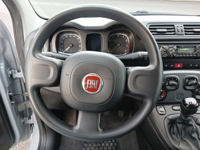 Fiat Panda Cross Cross 1.0 FireFly S&S Hybrid (9)