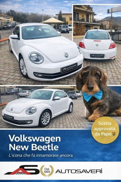 Volkswagen Maggiolino 1.2 TSI Design usata