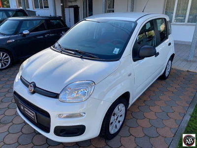 Fiat Panda 1.2 Pop usata