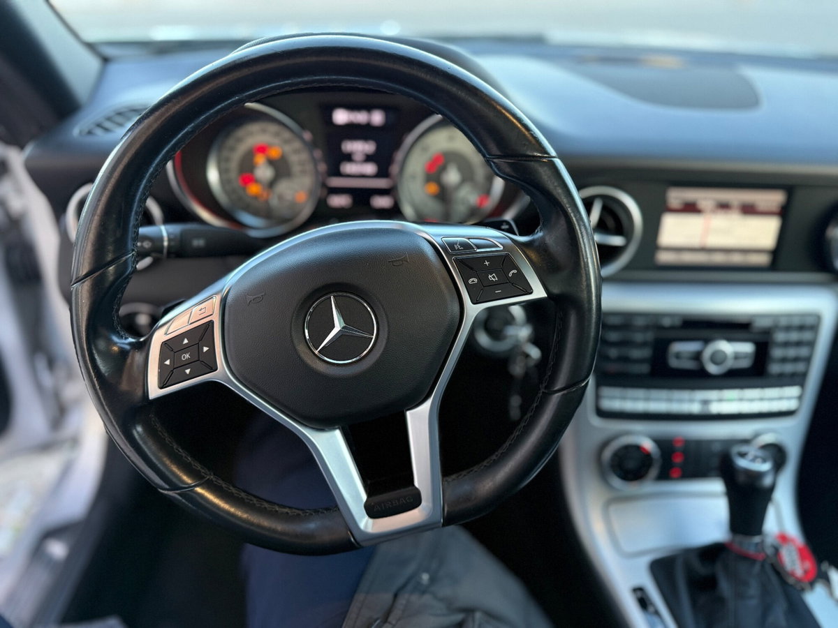 Mercedes-Benz SLK 250 d Premium (15)