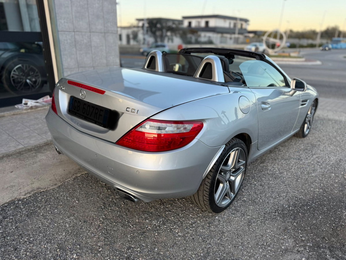Mercedes-Benz SLK 250 d Premium (17)