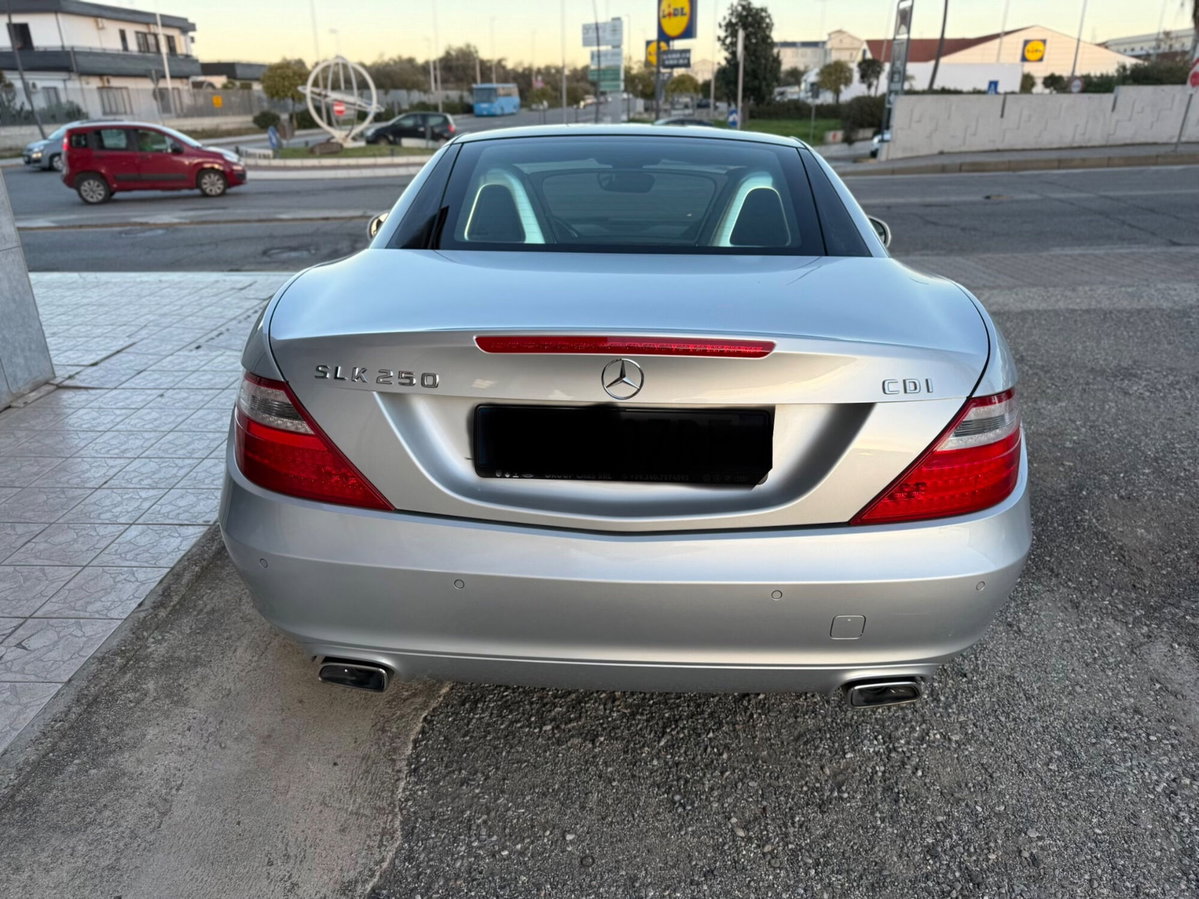 Mercedes-Benz SLK 250 d Premium (8)