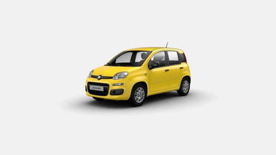 Fiat Panda 1.0 firefly hybrid s&s 70cv 5p.ti nuova