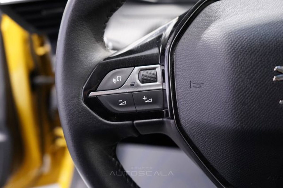 Peugeot 208 50 kWh Active (15)