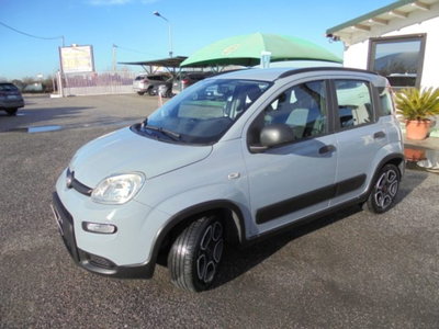 Fiat Panda 1.0 firefly hybrid s&s 70cv 5p.ti (4)