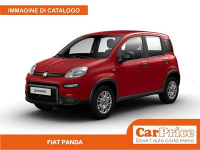 Fiat Panda 1.0 firefly hybrid s&s 70cv 5p.ti nuova