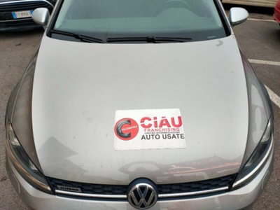 Volkswagen Golf Variant Alltrack 2.0 TDI 184CV DSG 4MOTION BMT (19)