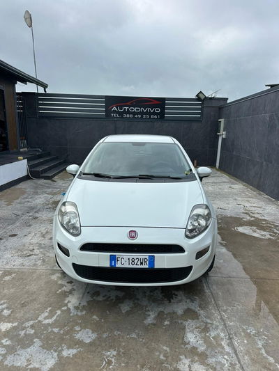 Fiat Punto 1.4 8V 5 porte Natural Power Lounge usata
