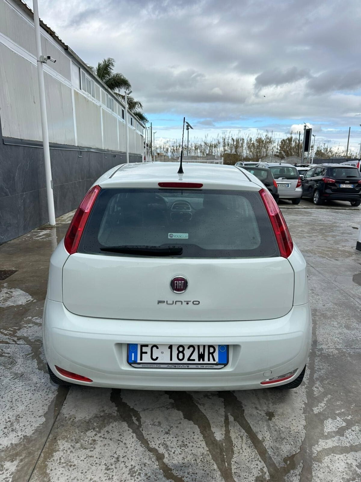 Fiat Punto 1.4 8V 5 porte Natural Power Lounge (4)