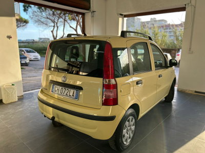 Fiat Panda 1.2 Dynamic (2)