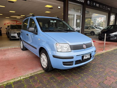 Fiat Panda 1.2 Active usata