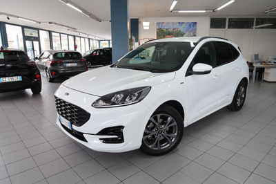 Ford Kuga 1.5 EcoBlue 120 CV aut. 2WD ST-Line X usata