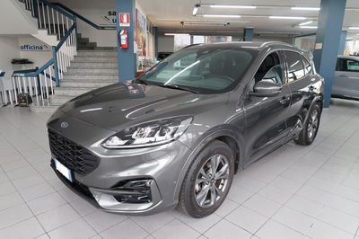 Ford Kuga 2.0 EcoBlue 120 CV aut. 2WD ST-Line X usata