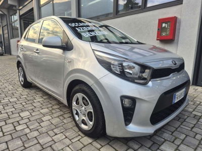 Kia Picanto 1.0 12V 5 porte Active usata