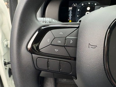 Fiat Panda 1.0 firefly hybrid s&s 70cv 5p.ti (10)