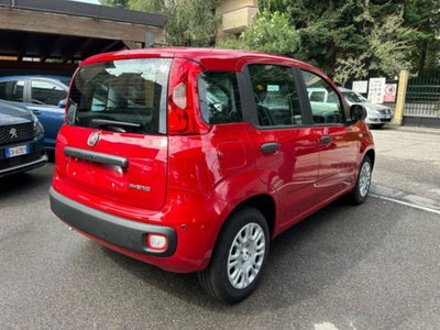 Fiat Panda 1.0 firefly hybrid s&s 70cv 5p.ti (4)