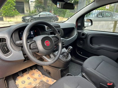 Fiat Panda 1.0 firefly hybrid s&s 70cv 5p.ti (6)