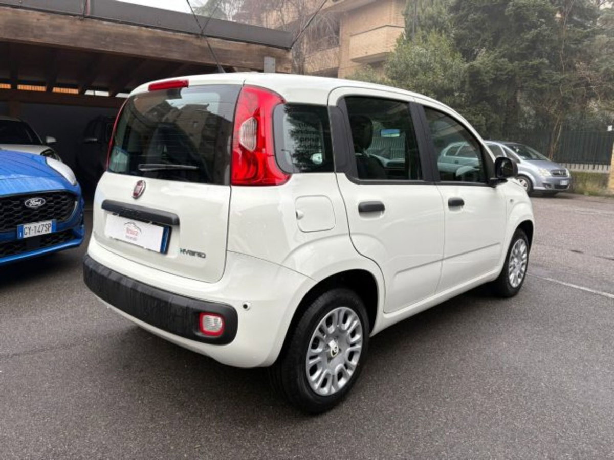 Fiat Panda 1.0 firefly hybrid s&s 70cv 5p.ti (4)