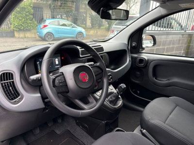 Fiat Panda 1.0 firefly hybrid s&s 70cv 5p.ti (6)