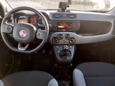 Fiat Panda 1.0 firefly hybrid s&s 70cv 5p.ti (5)