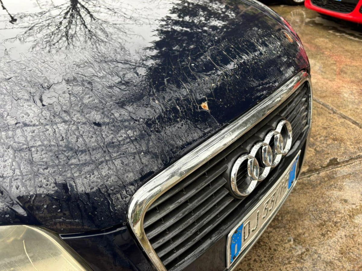 Audi A4 1.9 TDI Top (13)
