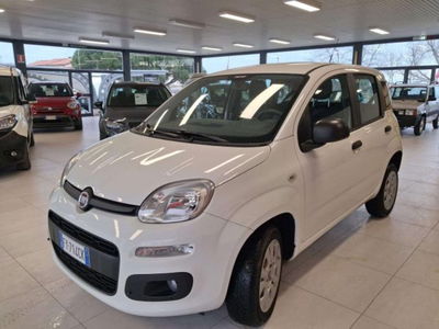 Fiat Panda van 0.9 nat.p. 70cv Pop 2p.ti serie 4 E6d usato