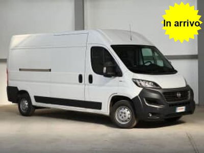 Fiat Ducato Furgone 33 2.3 MJT PLM-TM Furgone
