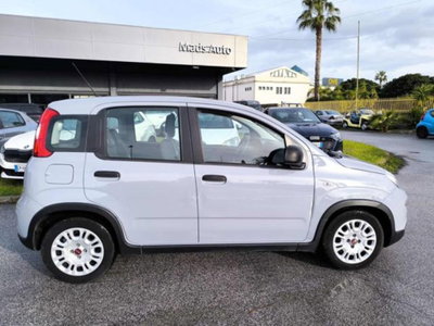 Fiat Panda 1.0 firefly hybrid s&s 70cv 5p.ti (10)