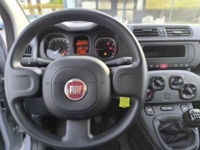 Fiat Panda 1.0 firefly hybrid s&s 70cv 5p.ti (13)