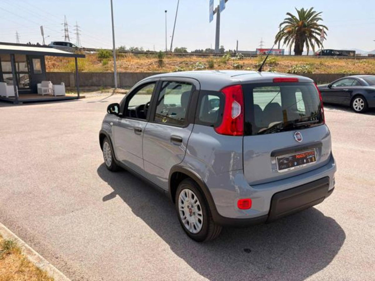 Fiat Panda 1.0 firefly hybrid s&s 70cv 5p.ti (3)