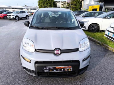 Fiat Panda 1.0 firefly hybrid s&s 70cv 5p.ti (4)