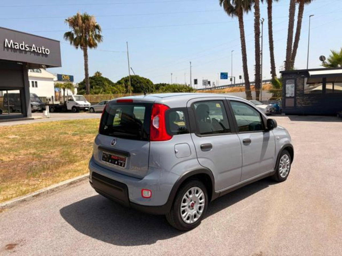 Fiat Panda 1.0 firefly hybrid s&s 70cv 5p.ti (6)
