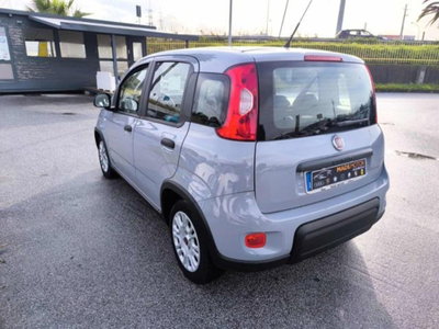 Fiat Panda 1.0 firefly hybrid s&s 70cv 5p.ti (6)
