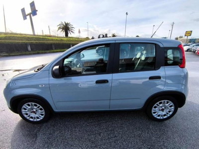 Fiat Panda 1.0 firefly hybrid s&s 70cv 5p.ti (9)